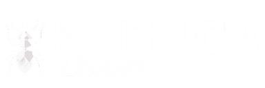 Karınca Lisans